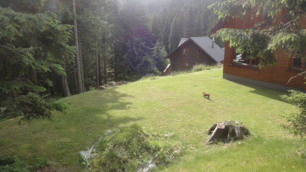 Chata PANORÁMA Martin 25