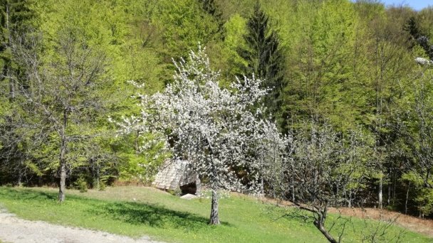 Chaty na Kozom hríbe Lazy pod Makytou 38