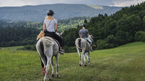 Domček Pod lipou Veličná 23