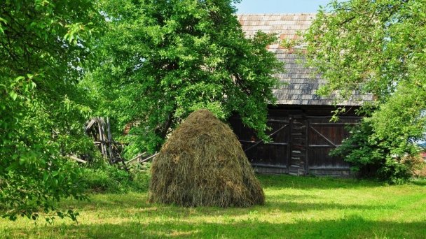 Chalupa vo Veličnej 15
