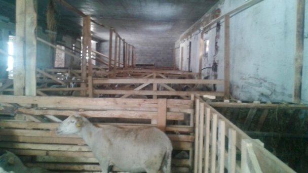 Penzión na gazdovskom dvore Veličná 5 Penzión na gazdovskom dvore Veličná 5