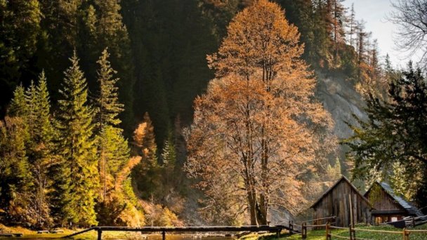 Penzión Chopok Apartments Liptovský Mikuláš - Demänová 25