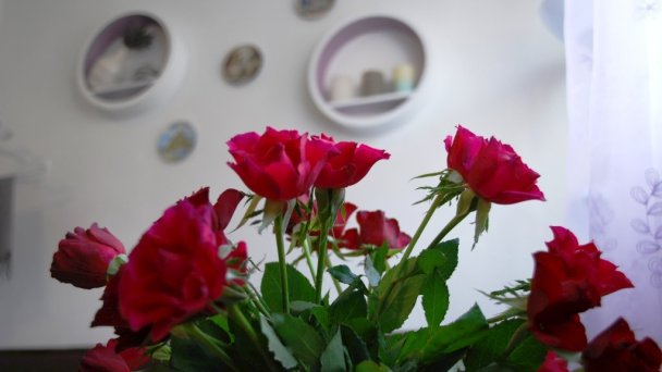 Privat Voyage Liptovský Mikuláš - Demänová 40