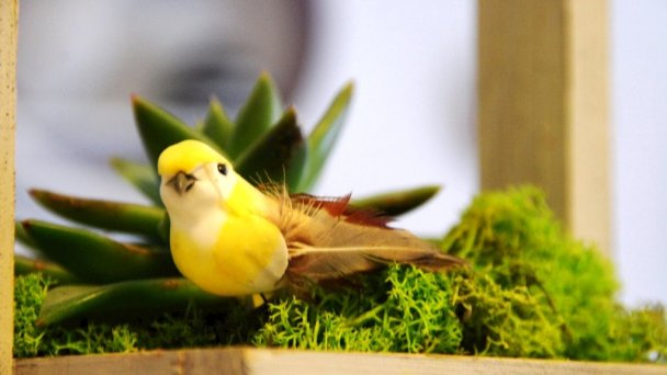 Privat Voyage Liptovský Mikuláš - Demänová 41