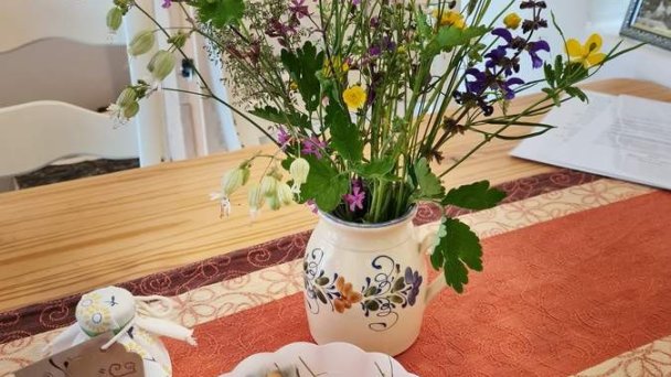 Ubytovanie Natural Slovakia Modrý Kameň 21