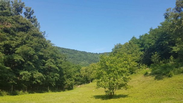 Ubytovanie Natural Slovakia Modrý Kameň 29