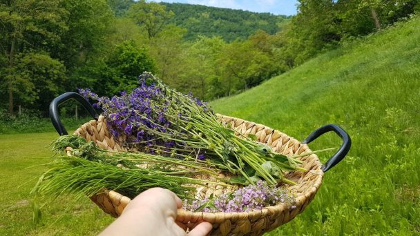 Ubytovanie Natural Slovakia Modrý Kameň 35
