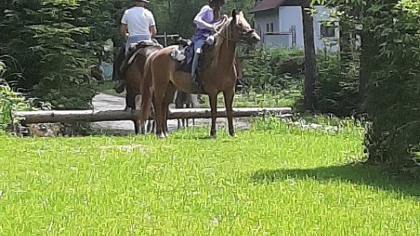 Chalupa pod Lyscom Jasenská dolina - Turčianske Jaseno 91