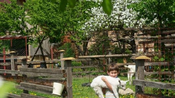 Penzión Tóth Moravany nad Váhom 11