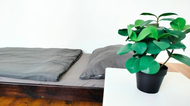 Hostel Dimael Bratislava - Rača 33