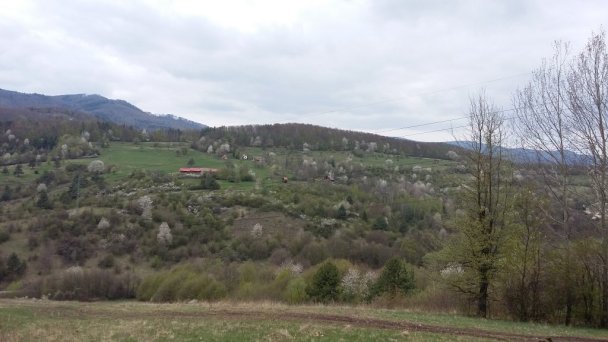 Chata Adamovka Hrabičov 25
