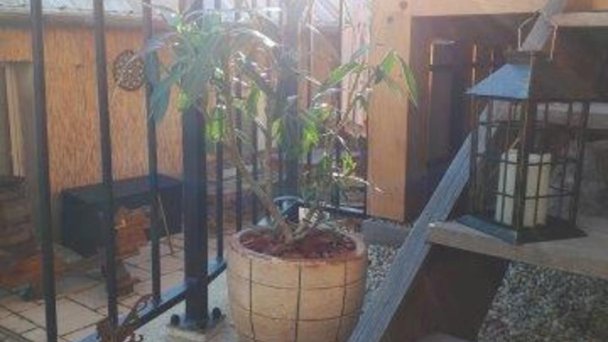 Vila Park - apartmány Vyhne 34