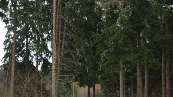 Chalupa Varechovský potok Vysoká nad Kysucou 25