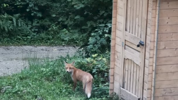 Chata Viktorka Sučany 67