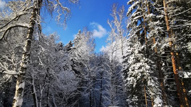 Chata Viktorka Sučany 71