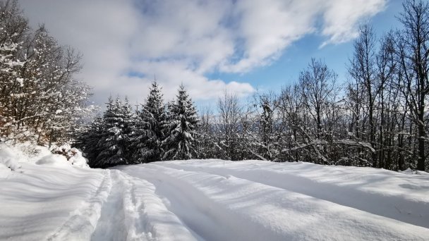 Chata Viktorka Sučany 81