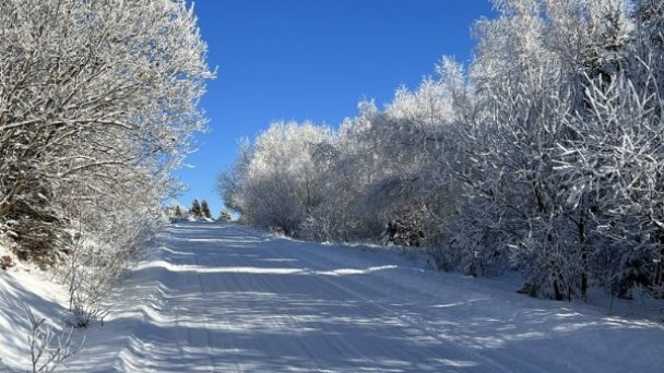 Chalety Vreščovské Sedlo Skalité 55 Chalety Vreščovské Sedlo Skalité 55