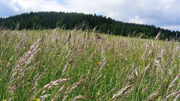 Chata nad briežkami Raková 17 Chata nad briežkami Raková 17