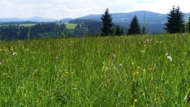Chata nad briežkami Raková 18 Chata nad briežkami Raková 18