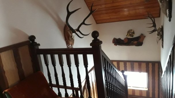 Chata u Jeleňa Oščadnica 12 Chata u Jeleňa Oščadnica 12