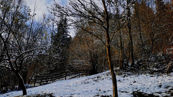 Chalet Martina Oščadnica 10