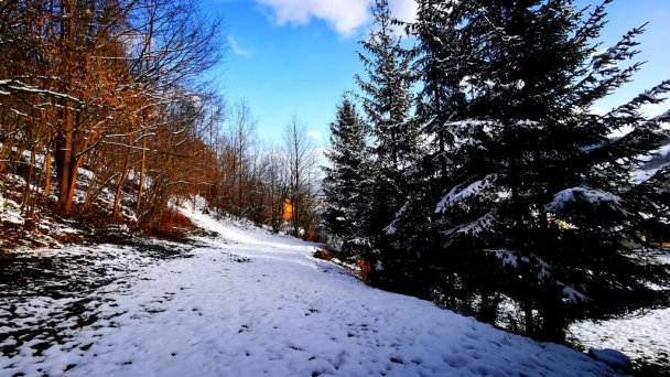 Chalet Martina Oščadnica 8