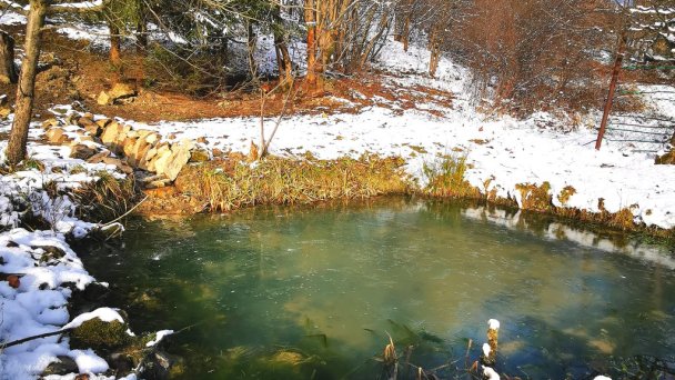 Chalet Martina Oščadnica 7
