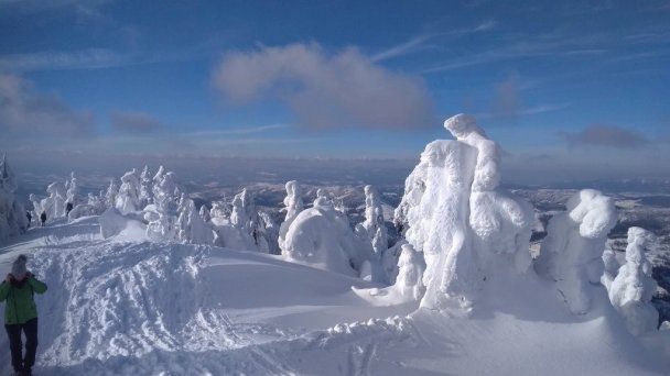 Drevenica u Antona Oščadnica 7