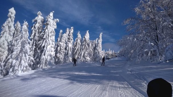 Drevenica u Antona Oščadnica 8
