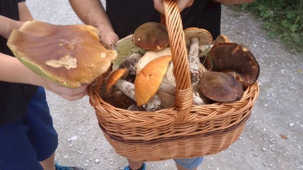 Drevenica u Antona Oščadnica 22