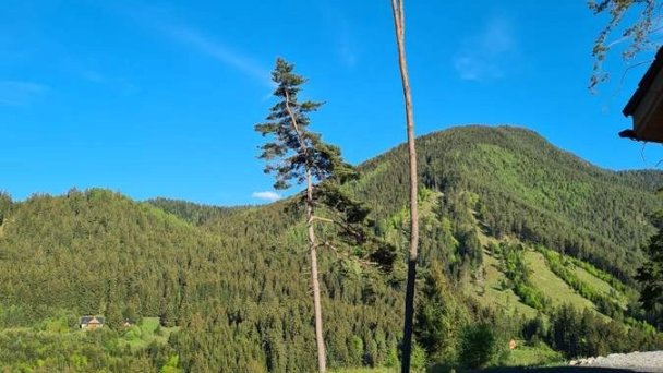 Zrubová chata Lumia Liptovský Ján 50