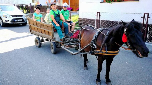 Penzión U koníka Liptovský Ján 70 Penzión U koníka Liptovský Ján 70