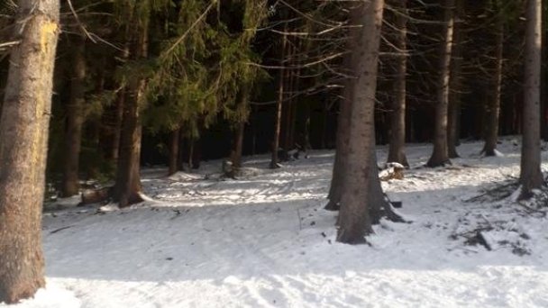 Chata Adavy Liptovský Ján 71