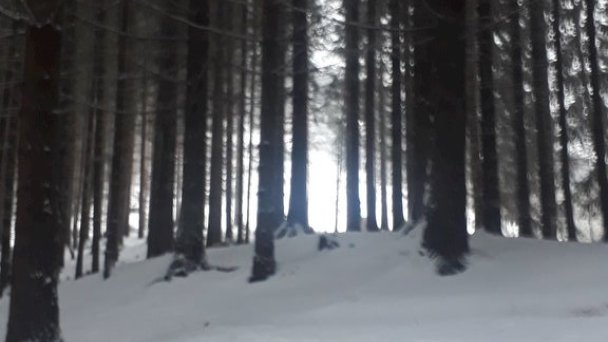 Chata Adavy Liptovský Ján 77