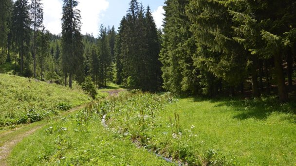 Byt Staré koliesko Demänovská Dolina 15