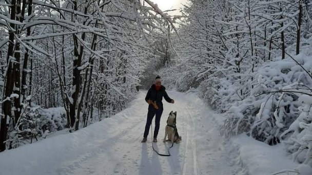 Chata Husárik Čadca 28