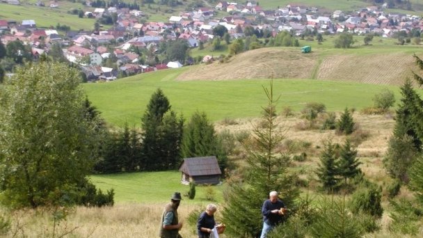 Drevenica Denisa Liptovské Revúce 24