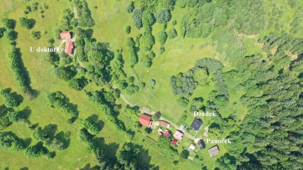 Drevenice Živčáková Korňa 12