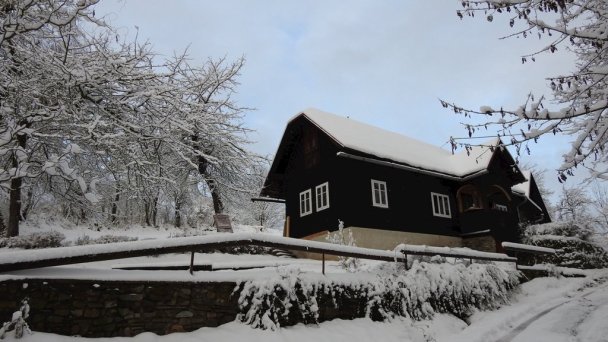 Drevenice Živčáková Korňa 47