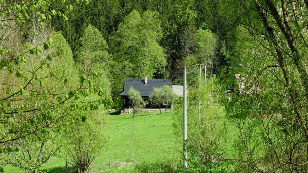 Drevenice Živčáková Korňa 11
