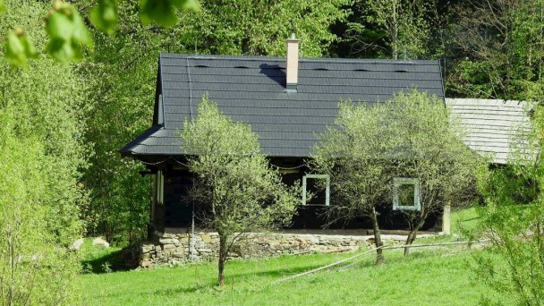 Drevenice Živčáková Korňa 13