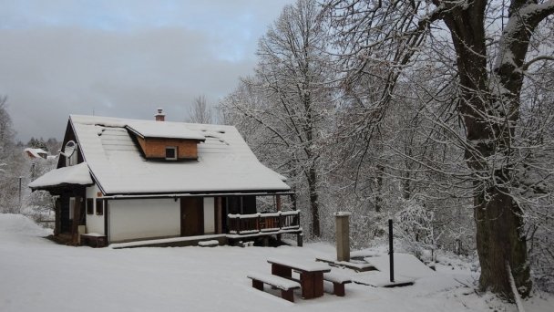 Drevenice Živčáková Korňa 14