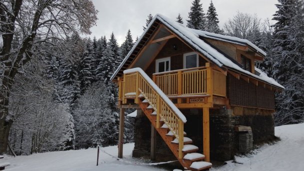 Drevenice Živčáková Korňa 16