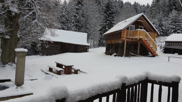 Drevenice Živčáková Korňa 18