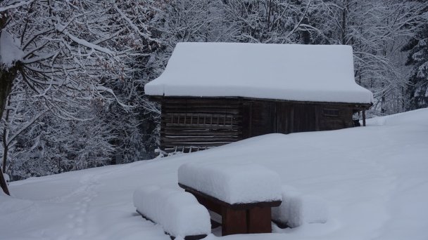 Drevenice Živčáková Korňa 23