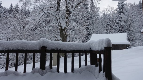 Drevenice Živčáková Korňa 24