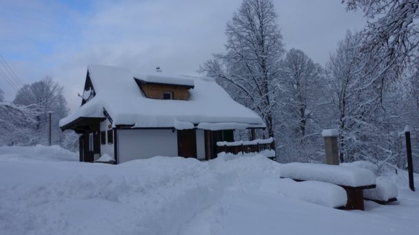 Drevenice Živčáková Korňa 25