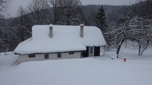 Drevenice Živčáková Korňa 27