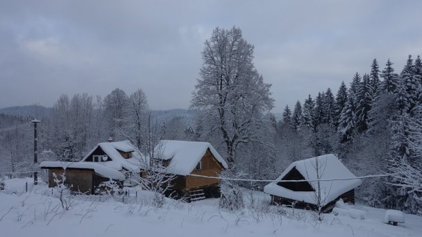 Drevenice Živčáková Korňa 28