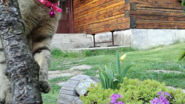 Chata Biely Potok 1275 Terchová 30